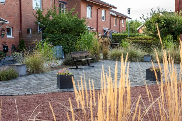 Bärnstenen Sommar. Foto: Torbjörn Lagerwall